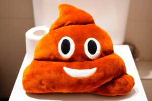 健康的なうんちの頻度