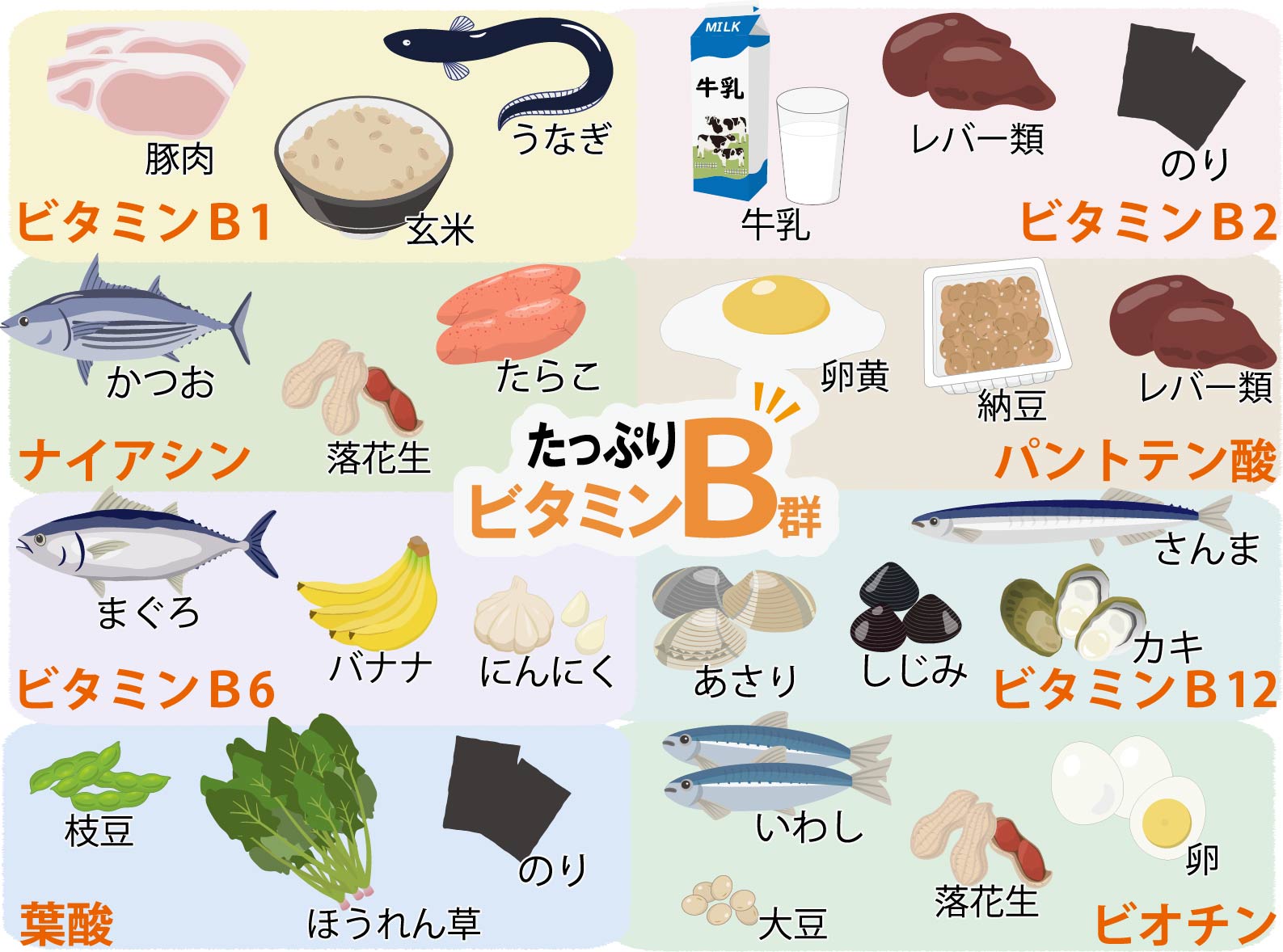ビタミン b 群 食べ物
