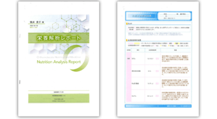 栄養解析レポー