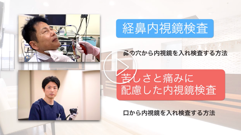 苦しくなく痛みに配慮した内視鏡検査 と 経鼻内視鏡検査 は何が違うの 苦しさと痛みに配慮した胃カメラ 大腸内視鏡検査 福岡天神内視鏡クリニック