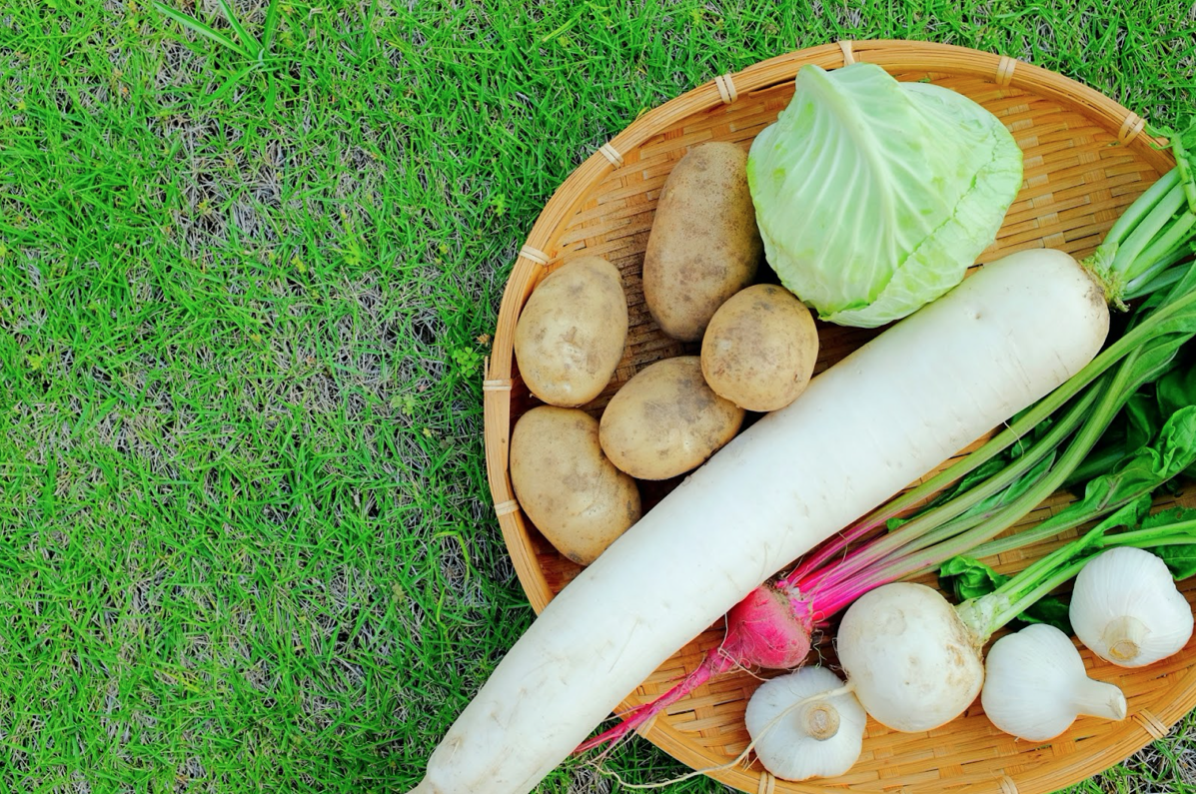 便秘解消の野菜