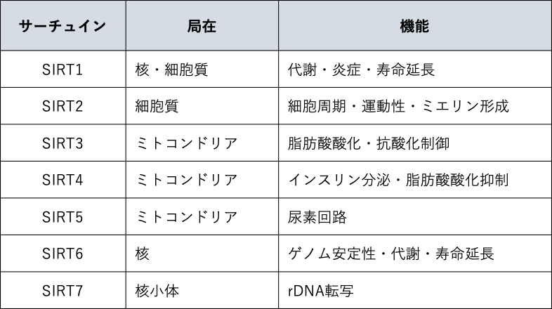 サーチュインファミリー一覧