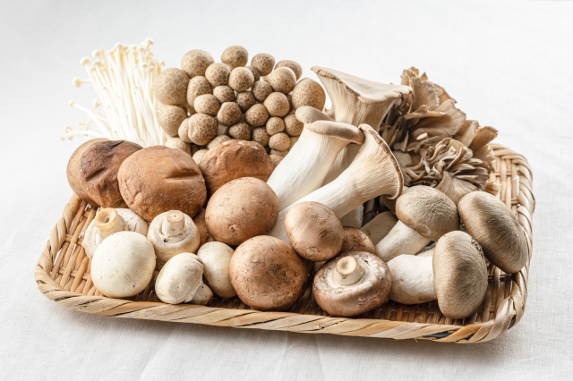 いろいろな種類のきのこ